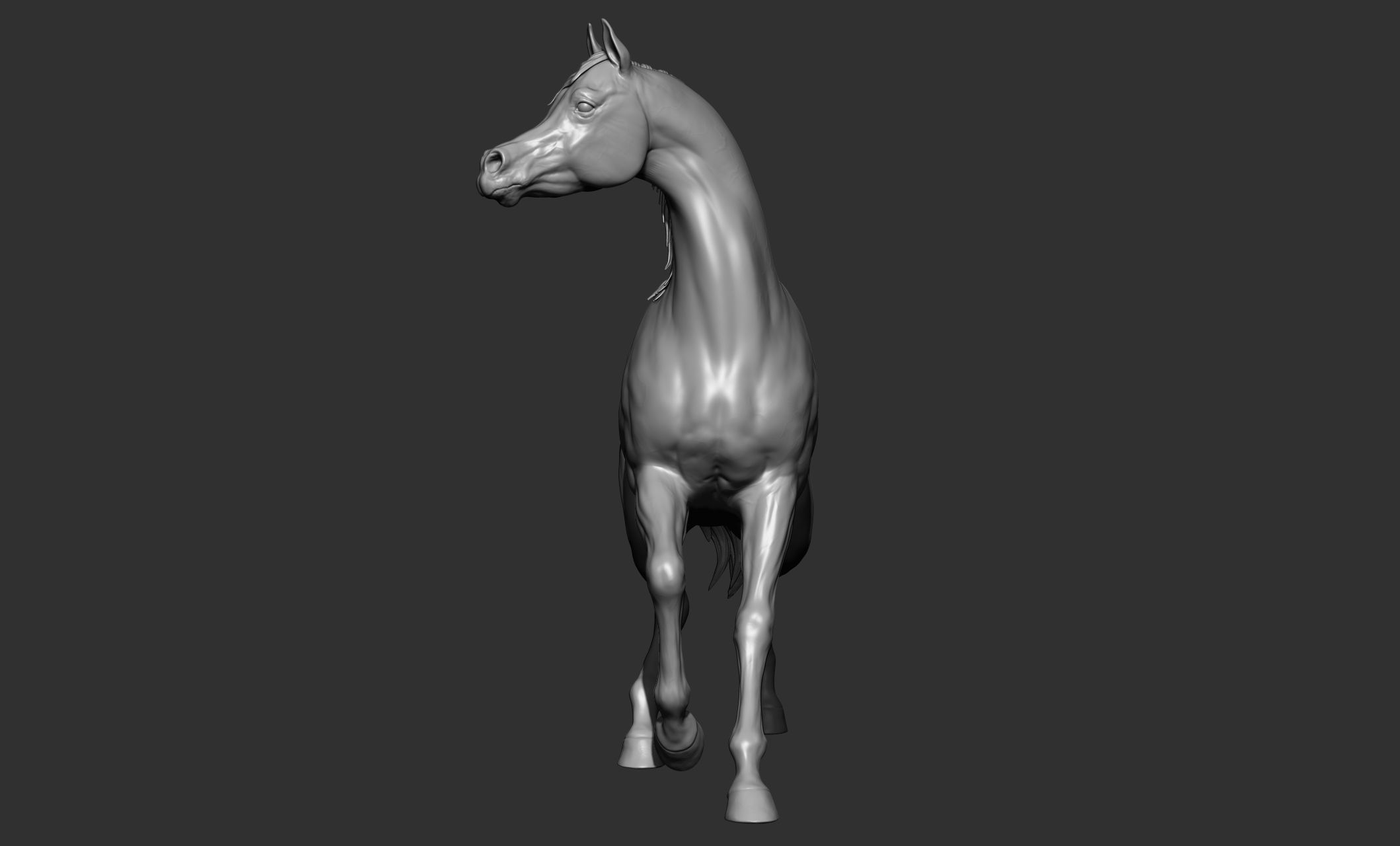 7-Arabian Horse Poses 3D model_3