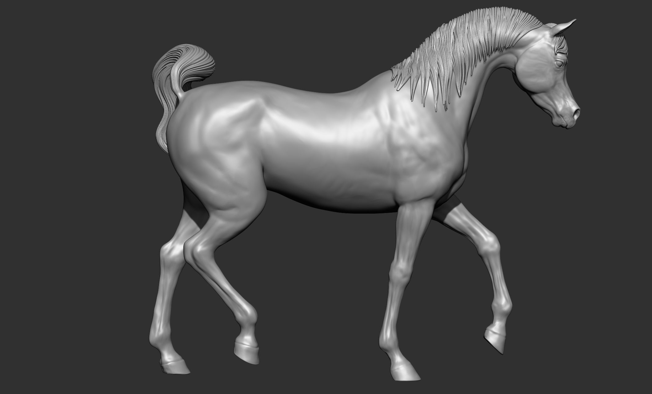 7-Arabian Horse Poses 3D model_43
