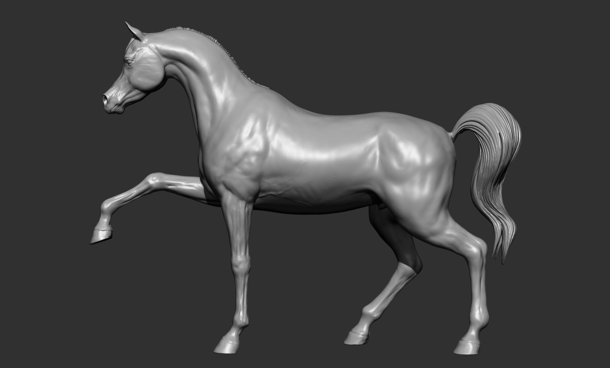 7-Arabian Horse Poses 3D model_34