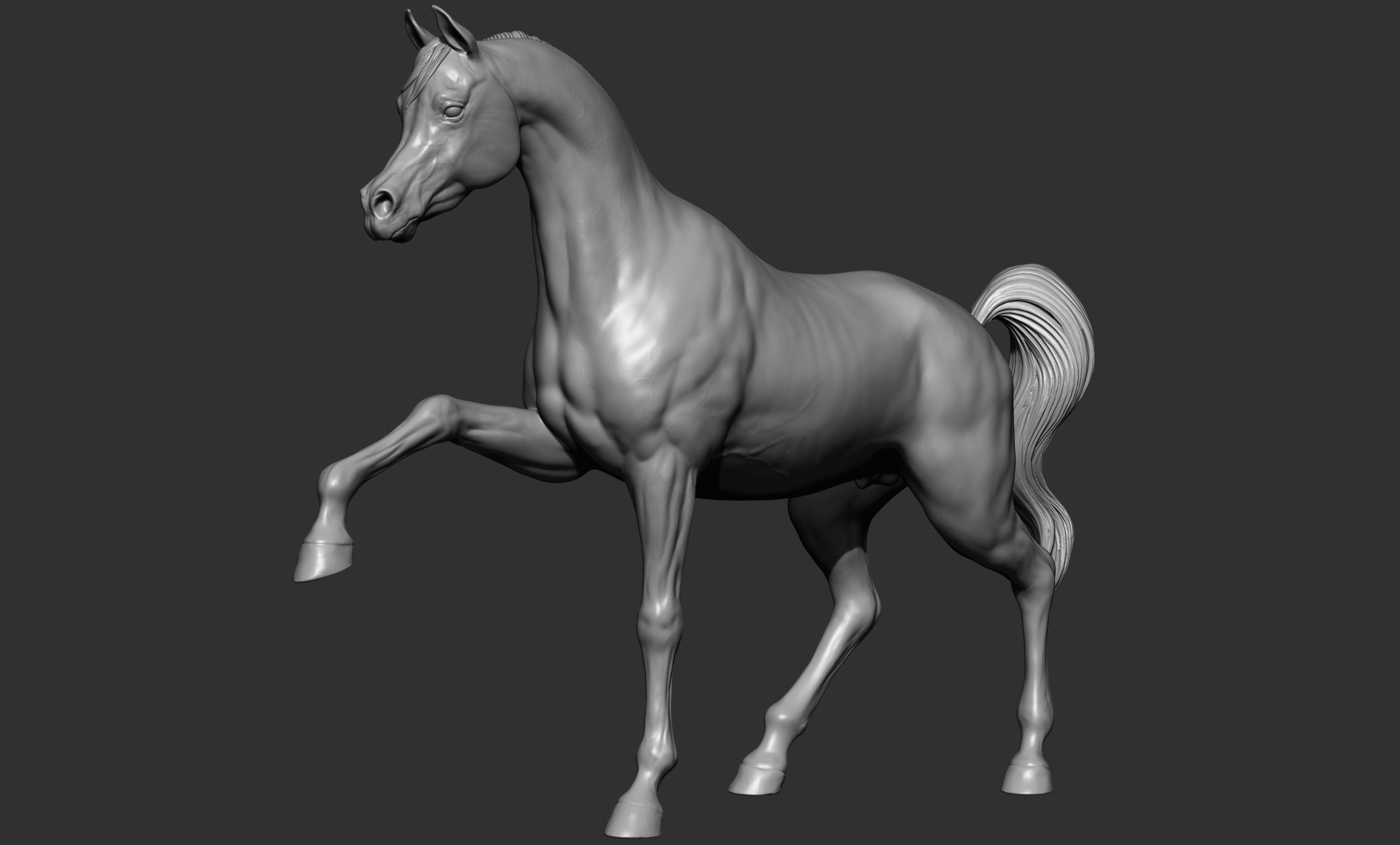 7-Arabian Horse Poses 3D model_33