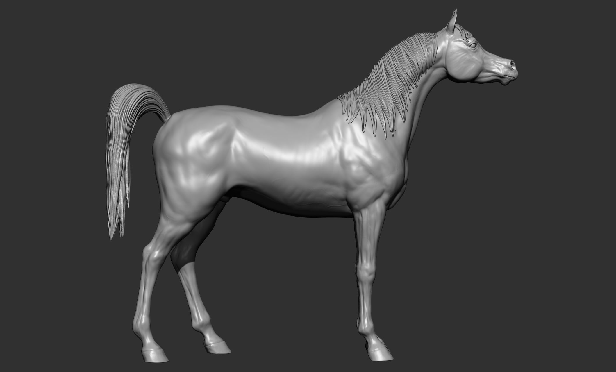 7-Arabian Horse Poses 3D model_18