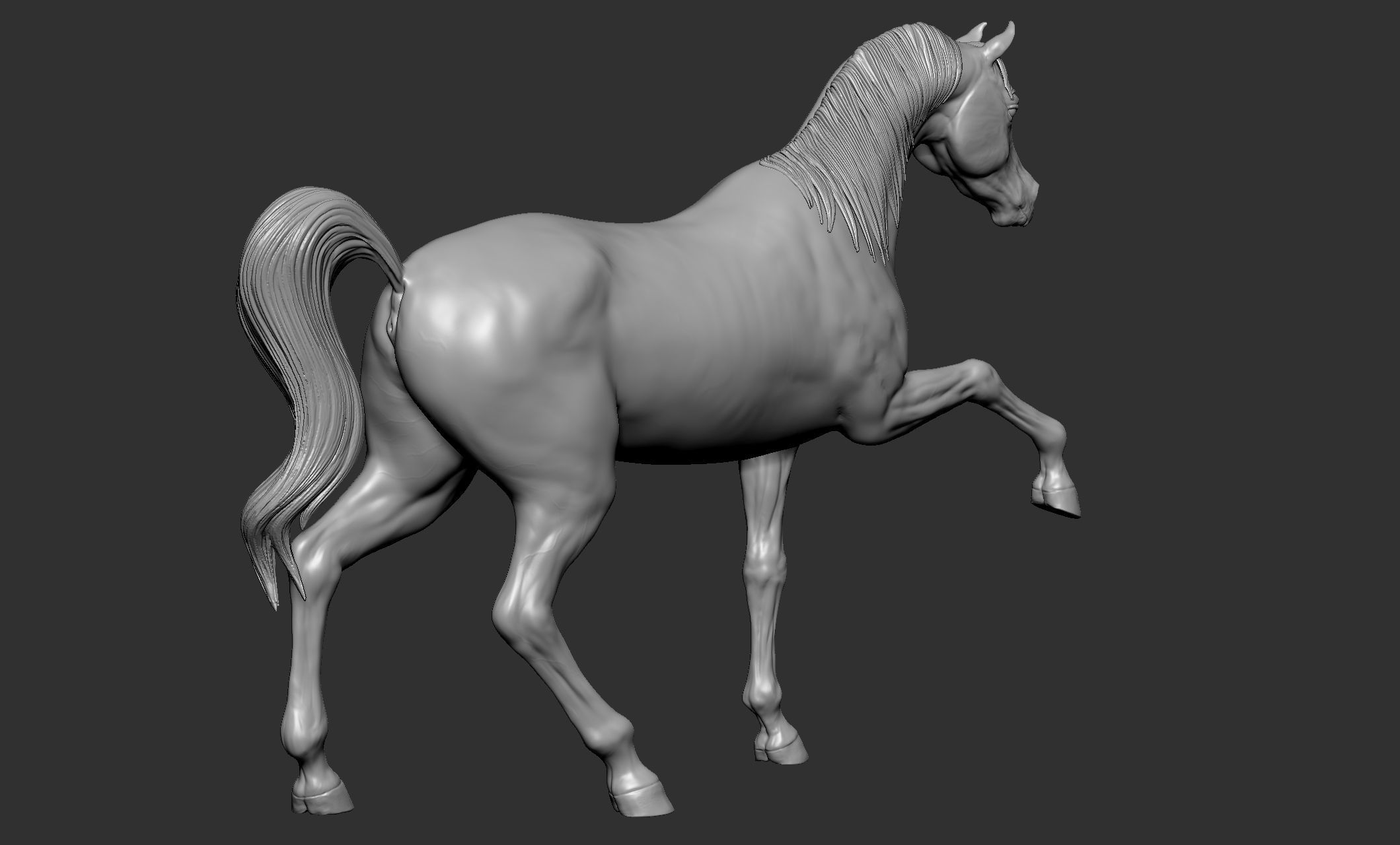 7-Arabian Horse Poses 3D model_36