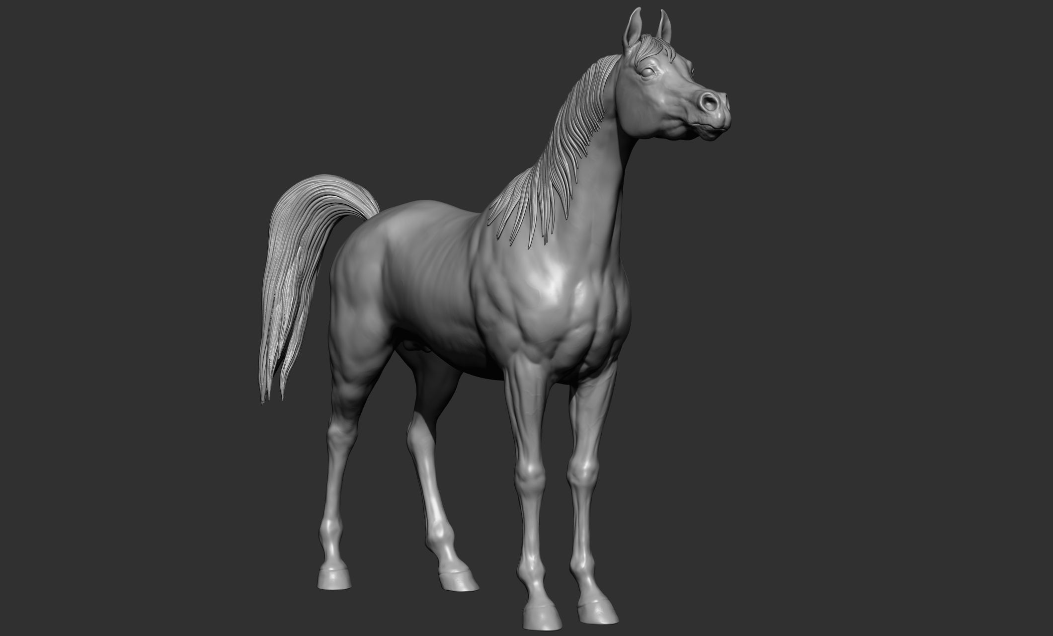 7-Arabian Horse Poses 3D model_19