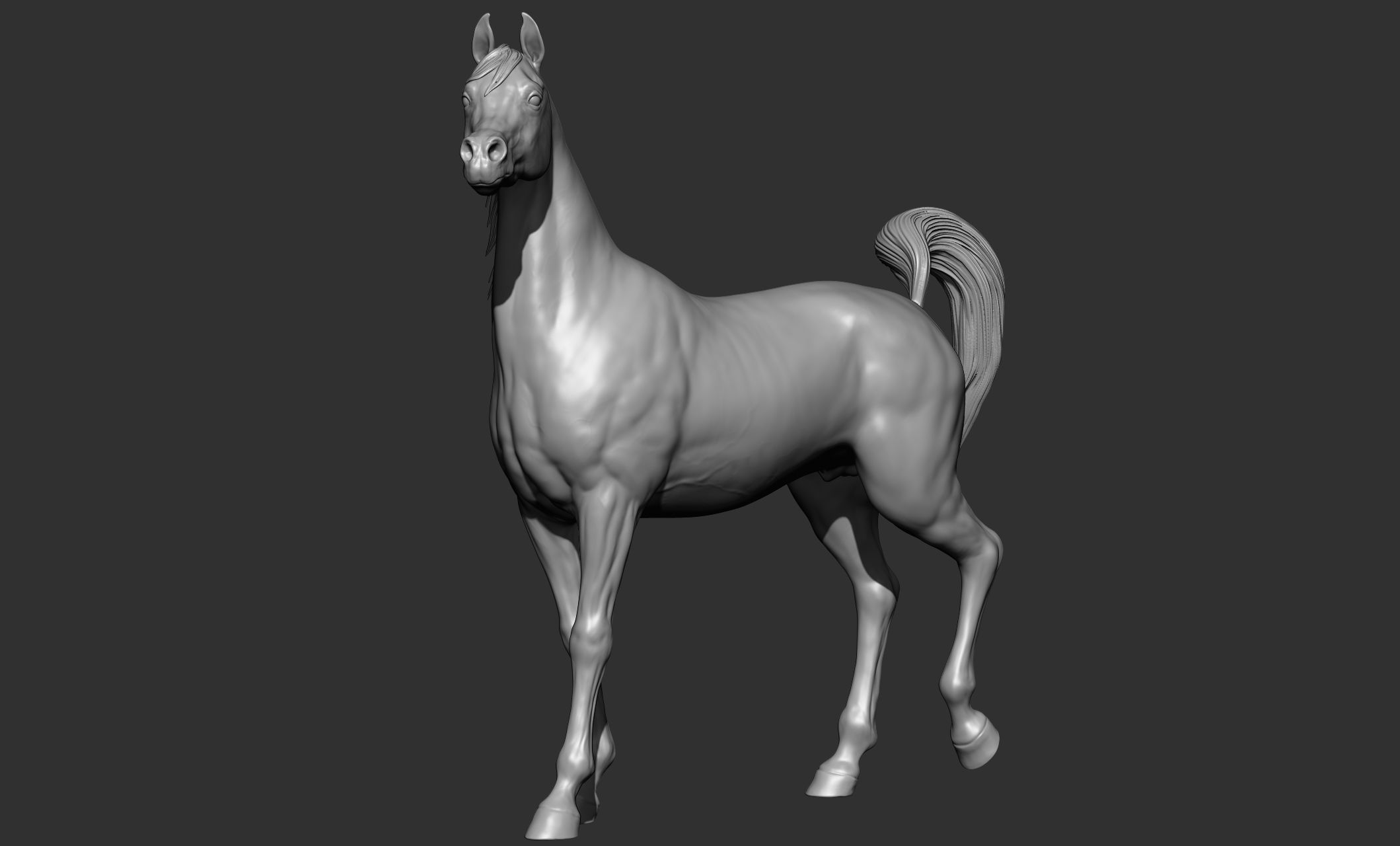 7-Arabian Horse Poses 3D model_8