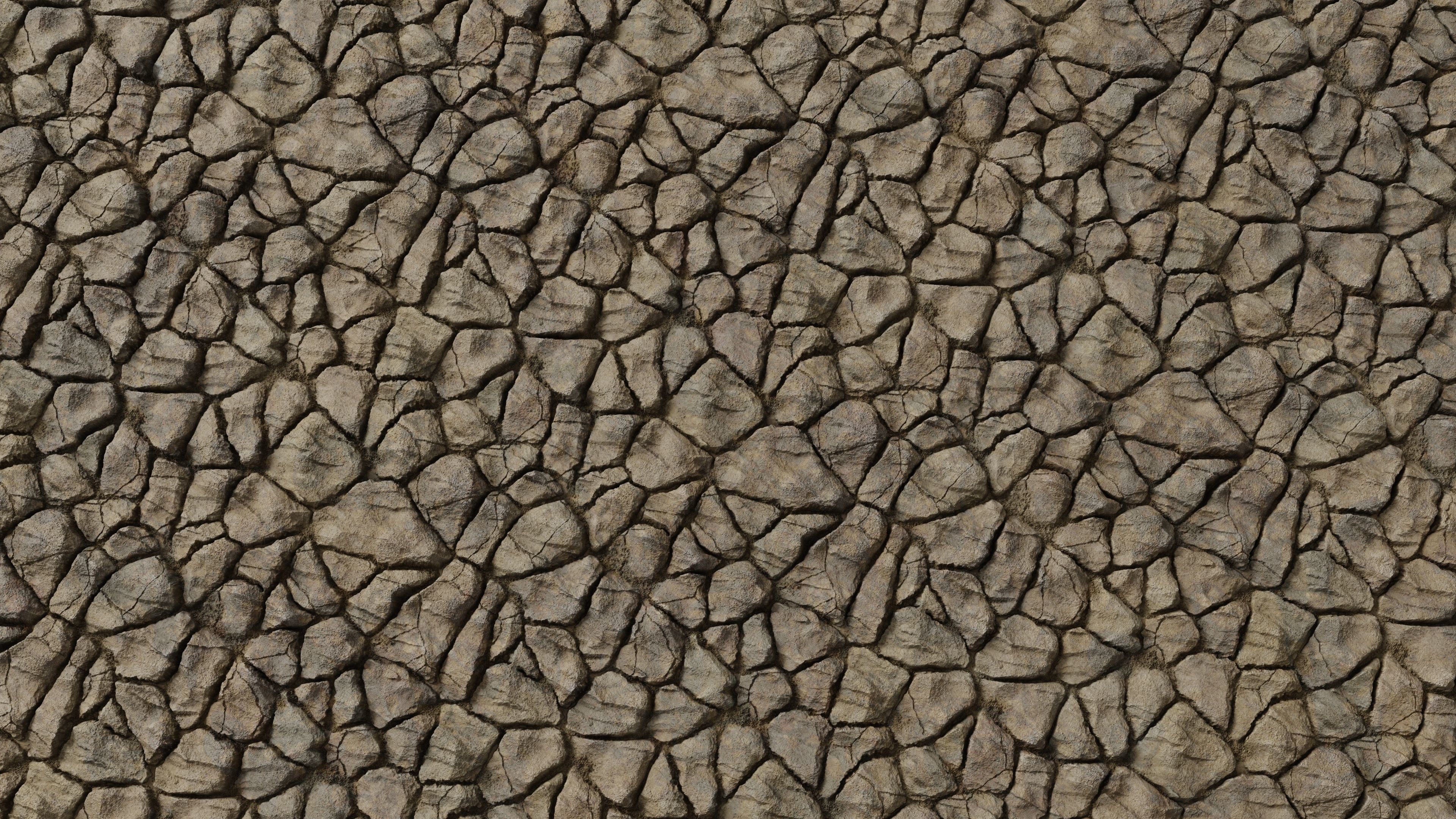 Dry Mud PBR Texture Texture_1