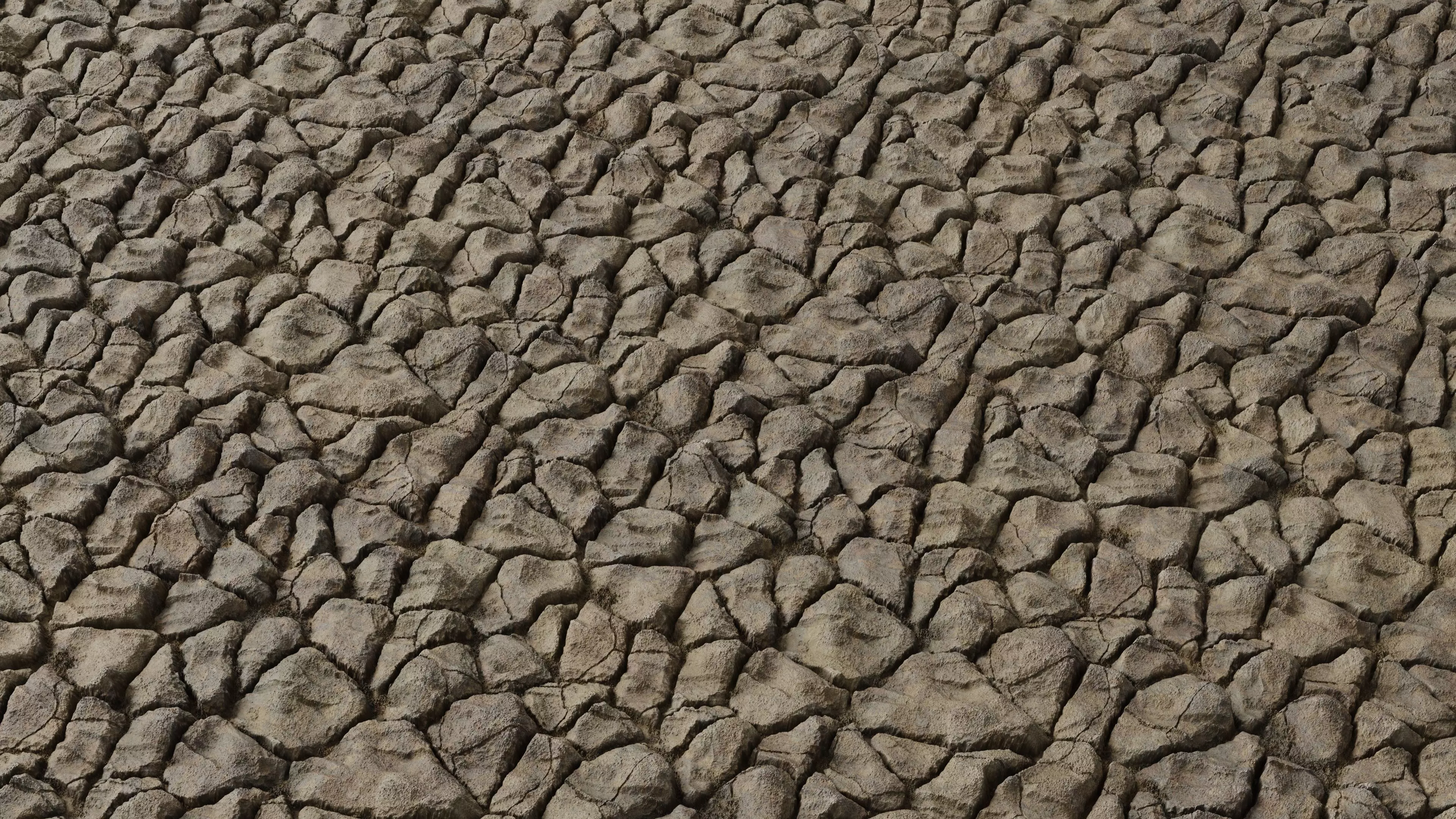 Dry Mud PBR Texture Texture_0