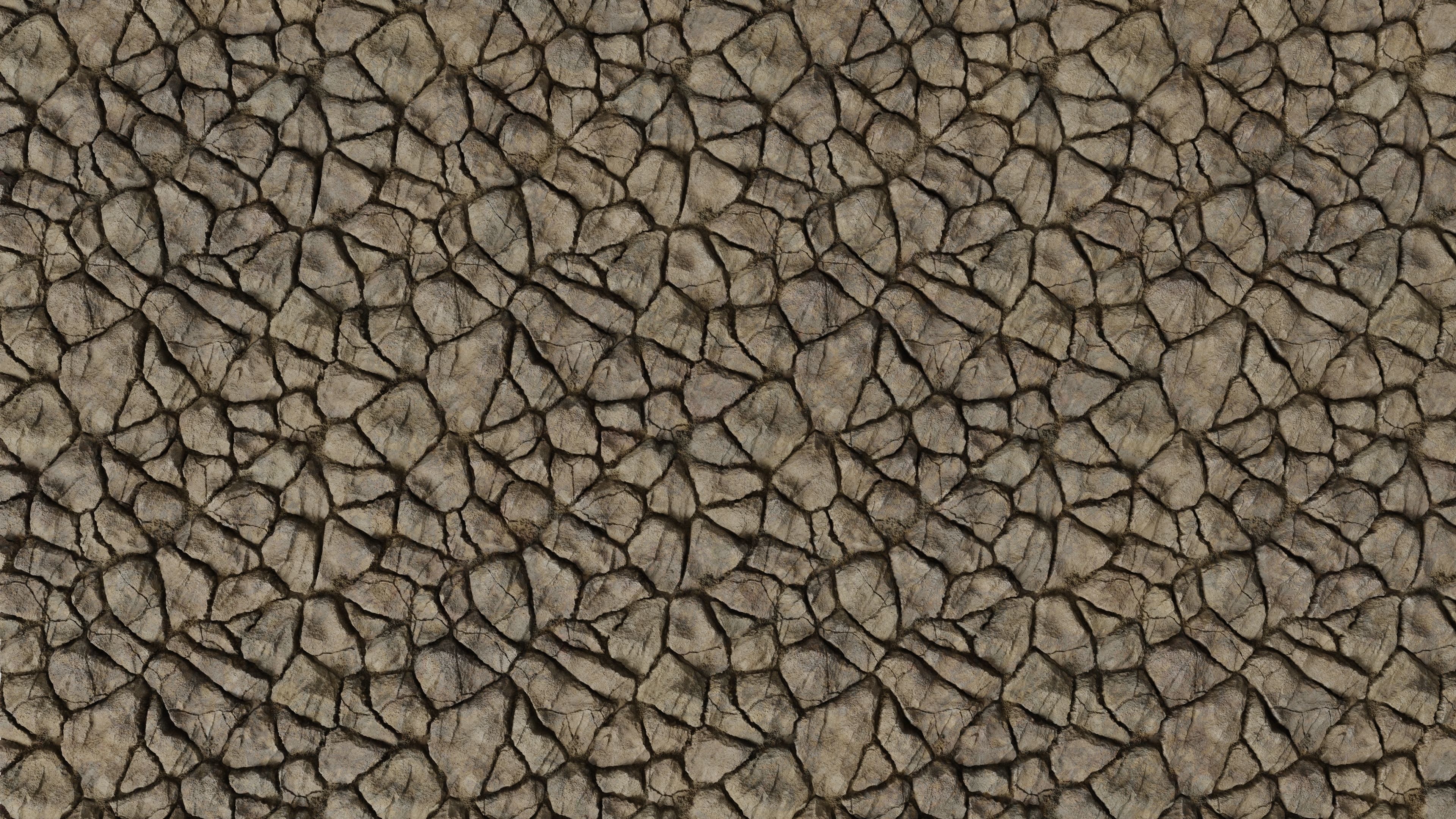 Dry Mud PBR Texture Texture_2