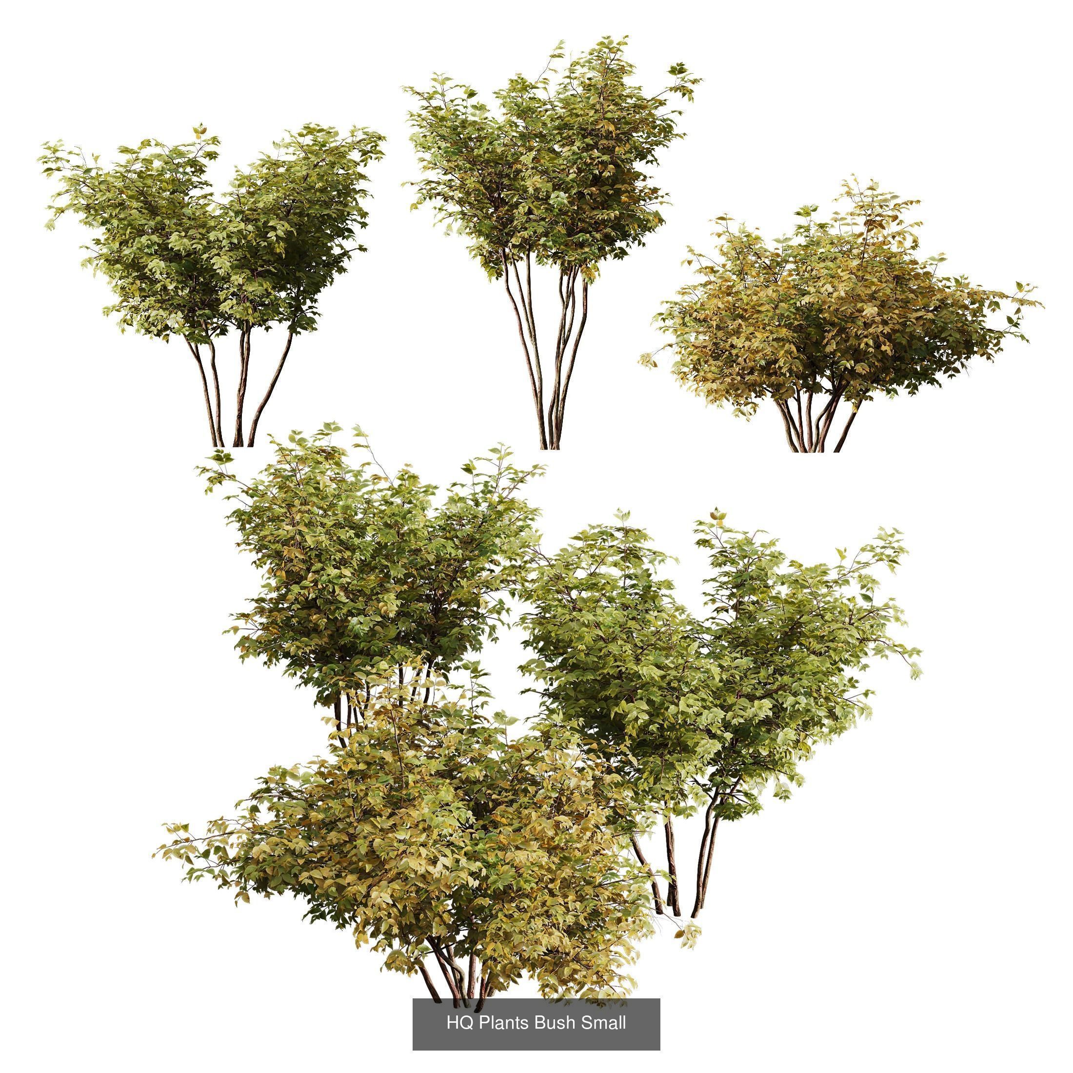 10 Different SETS Of Bush Grass SET VOL11 3D Model Collection_4
