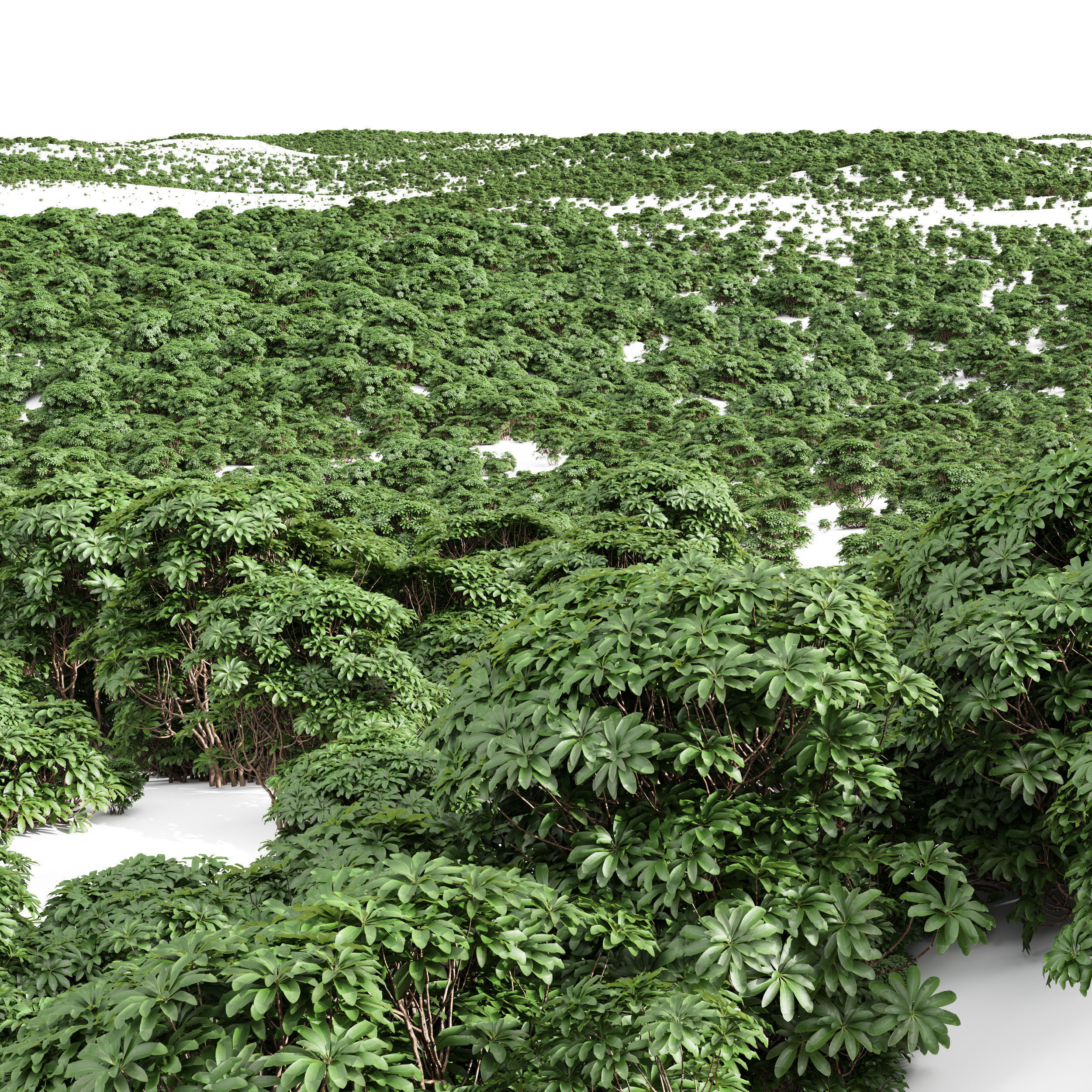 10 Different SETS Of Bush Grass SET VOL11 3D Model Collection_15