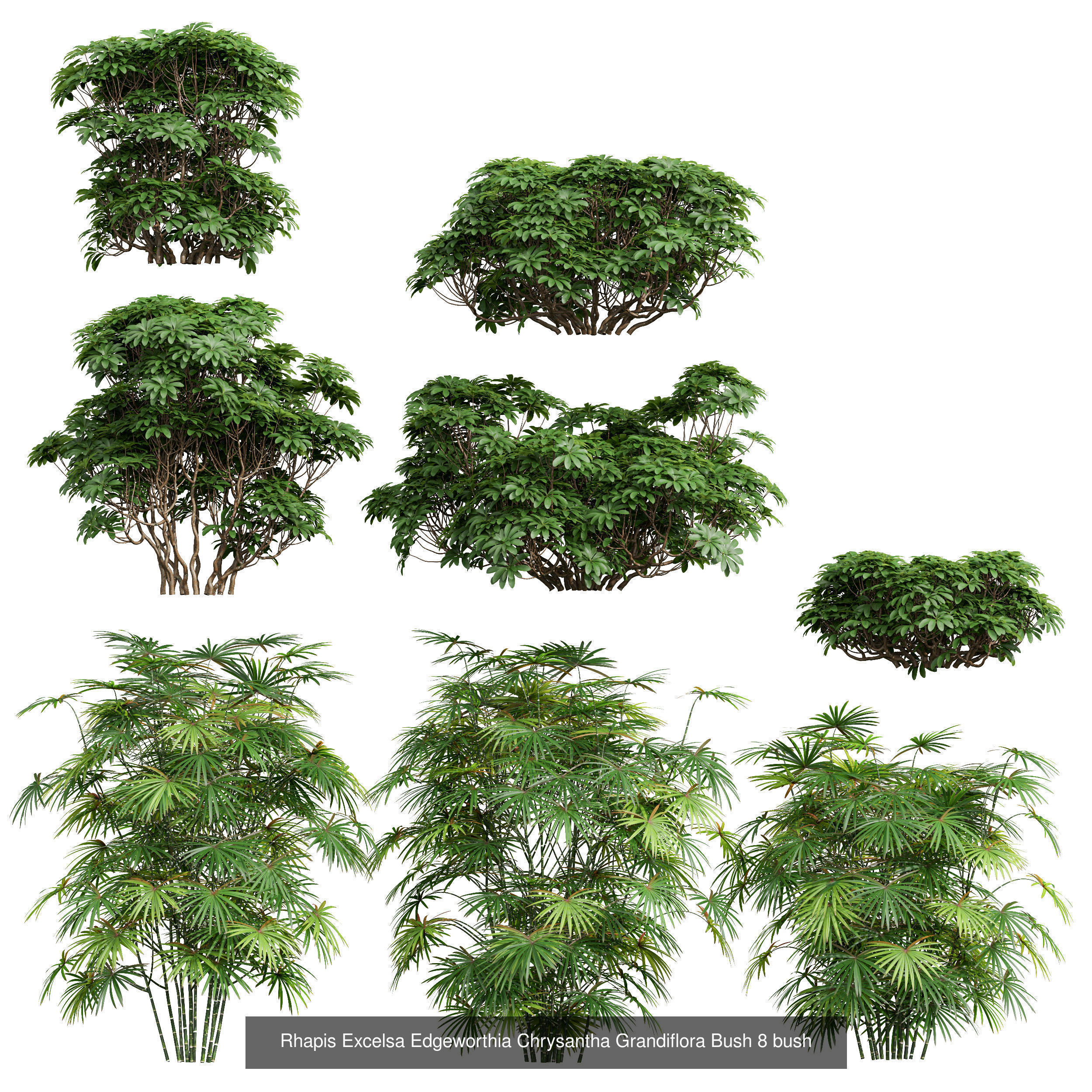 10 Different SETS Of Bush Grass SET VOL11 3D Model Collection_1