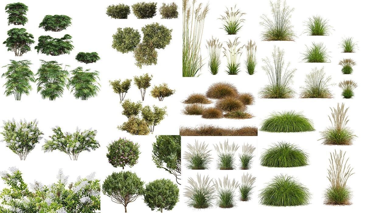 10 Different SETS Of Bush Grass SET VOL11 3D Model Collection_0