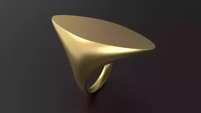 SANJ Ring 05 3D print model