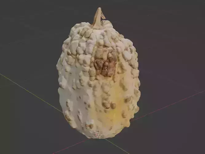 Dried Gord 3D model