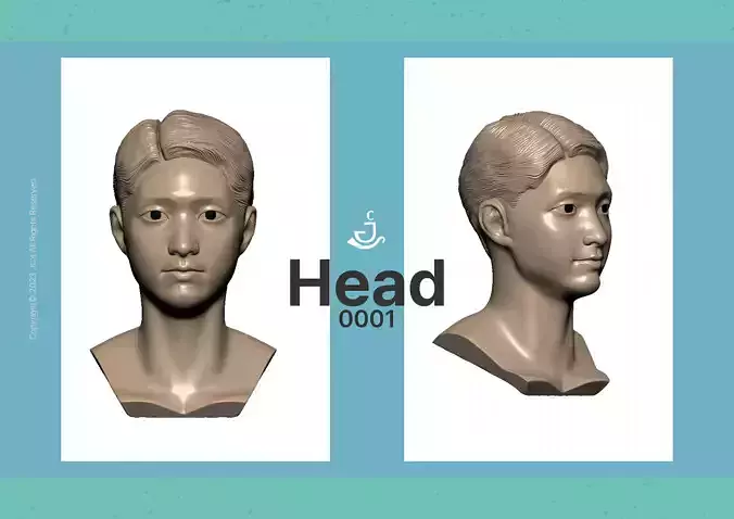 3D MODELS-Head 0001 3D model