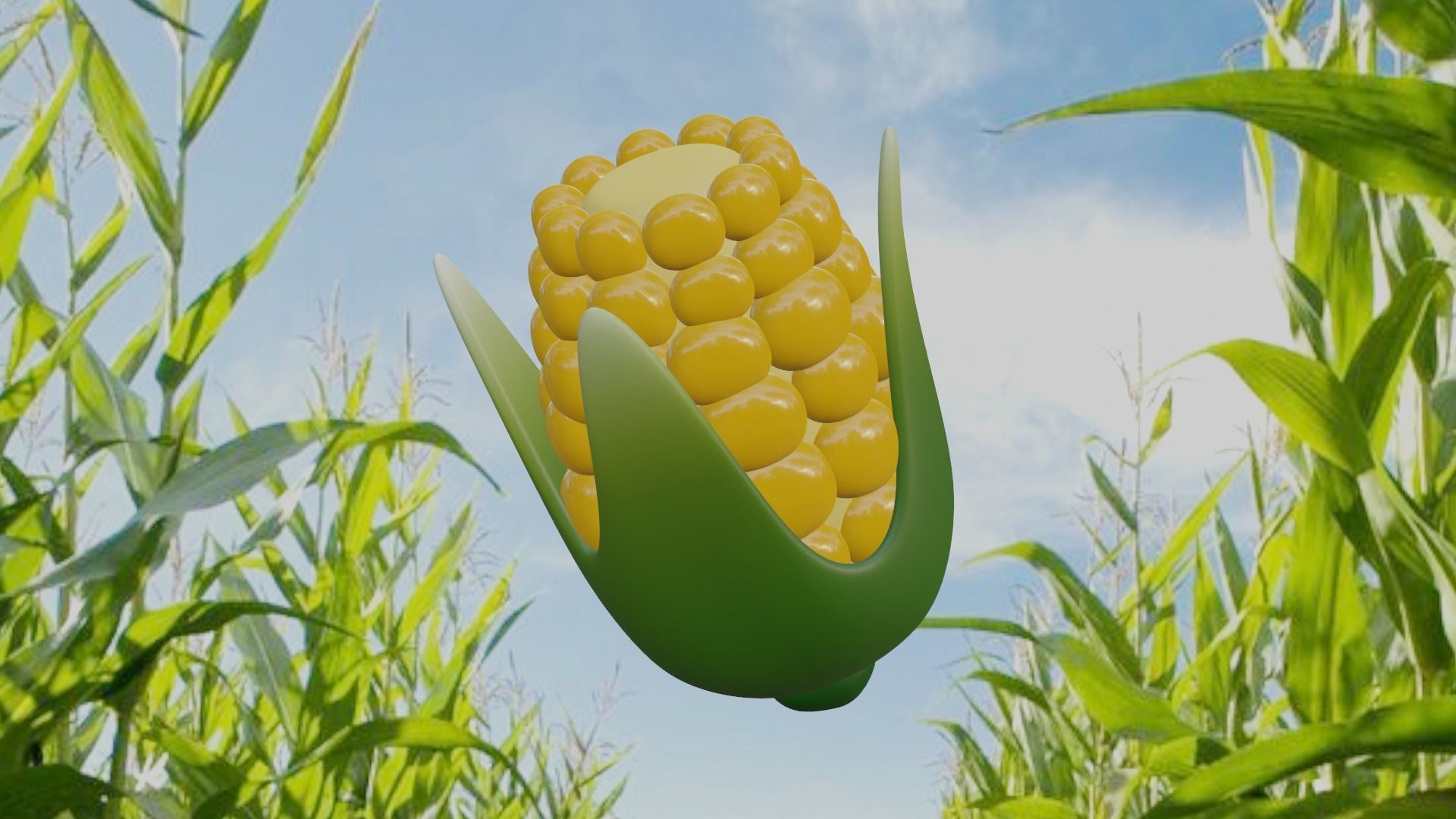 Stylized Corn 3D Model - Cartoon Farm Vegetable Asset 3D model_11