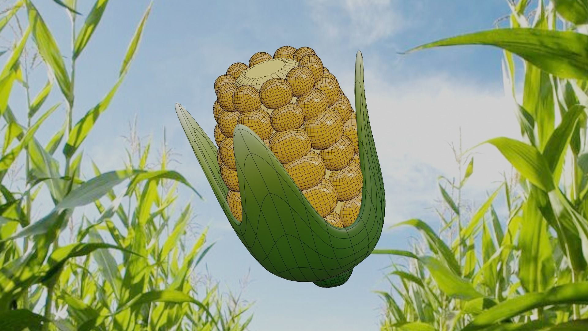 Stylized Corn 3D Model - Cartoon Farm Vegetable Asset 3D model_10