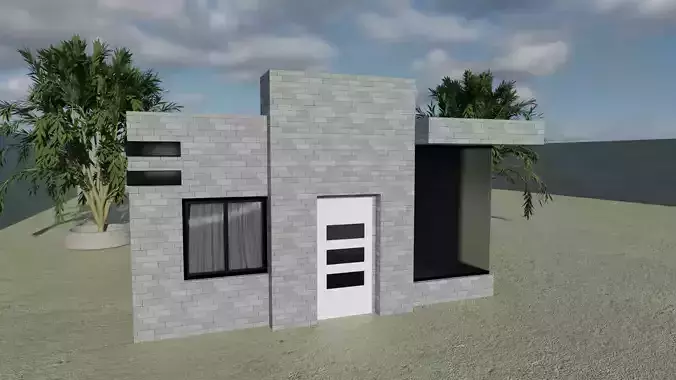 House modern