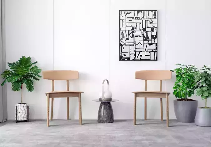 leisure Modern chair