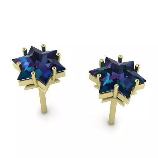 Earrings Puset Model 4076 3D print model