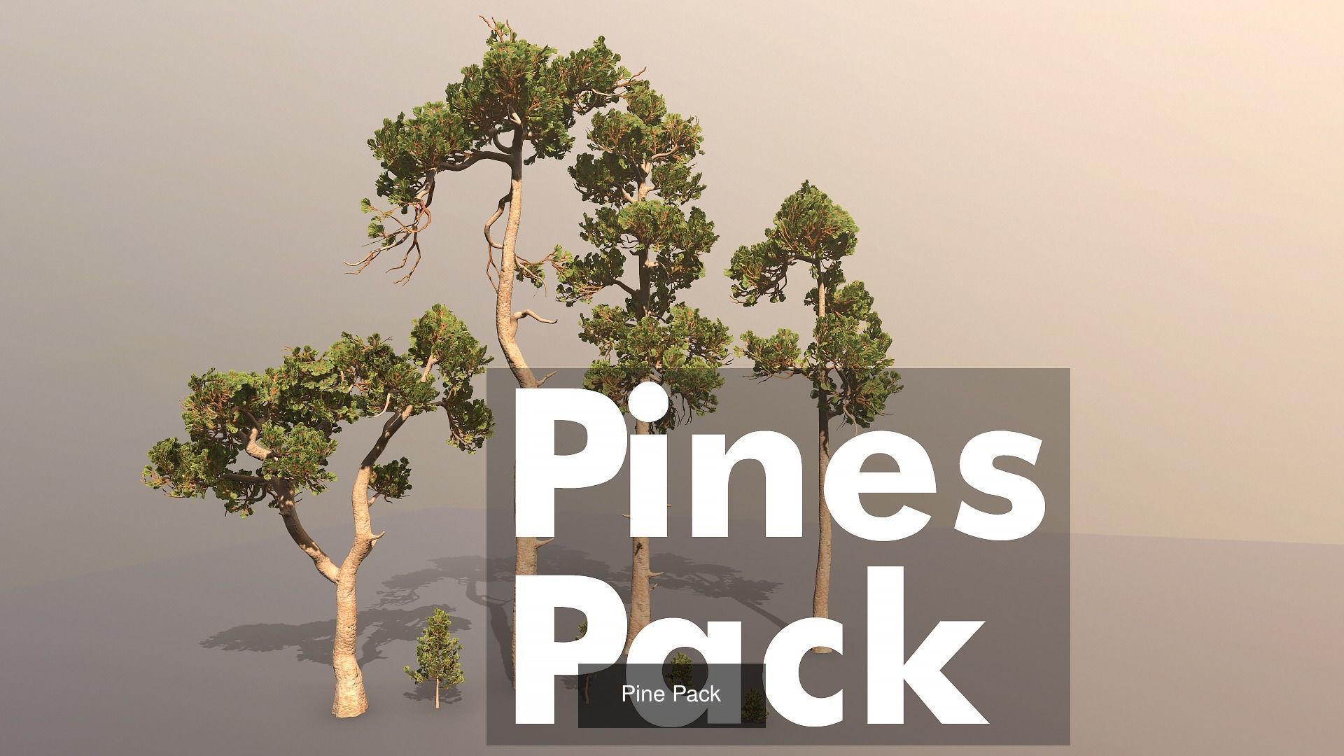 Almost all my packs together  3D Model Collection_28