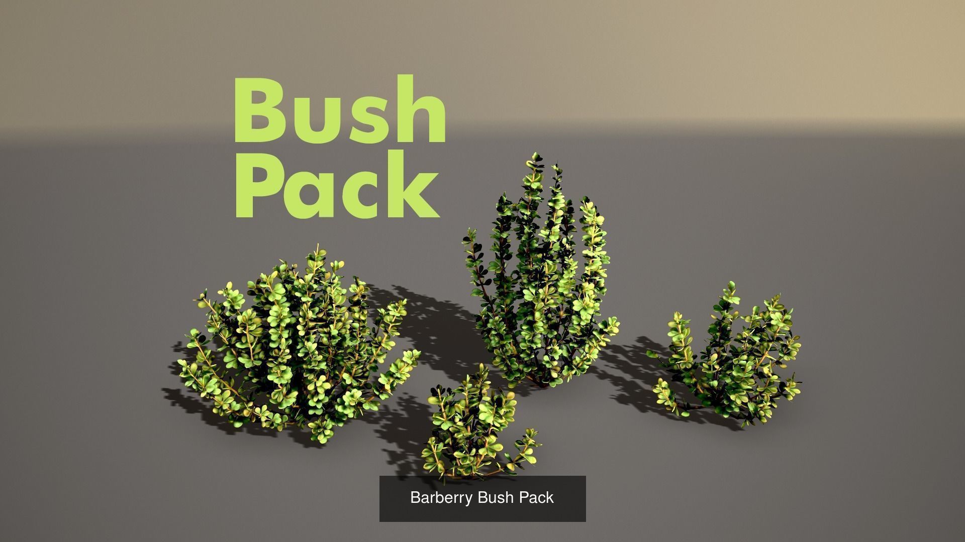 Almost all my packs together  3D Model Collection_33