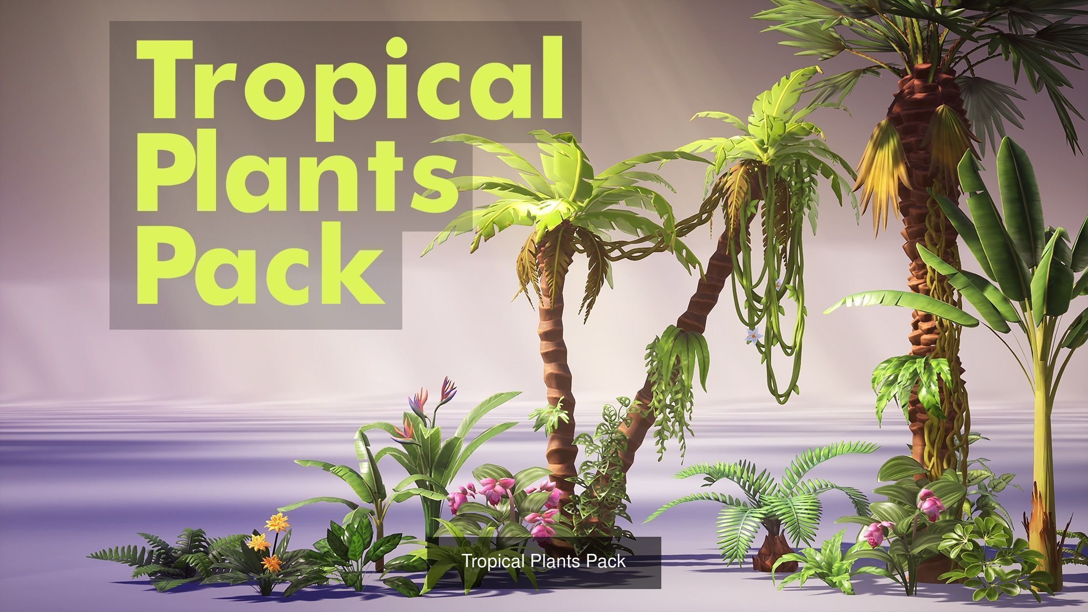 Almost all my packs together  3D Model Collection_17