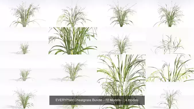 EVERYPlant Cheatgrass Bundle --72 Models-- 3D Model Collection