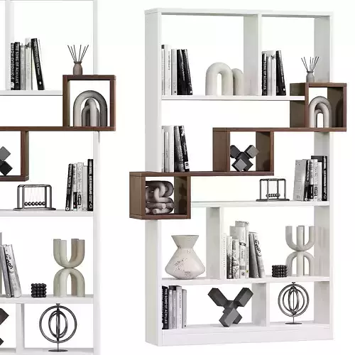 Andree Bookcase with Accent Shelves 3d model 