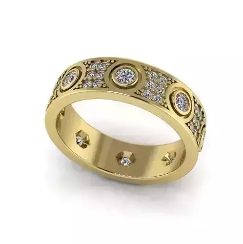 Ring Model 4223