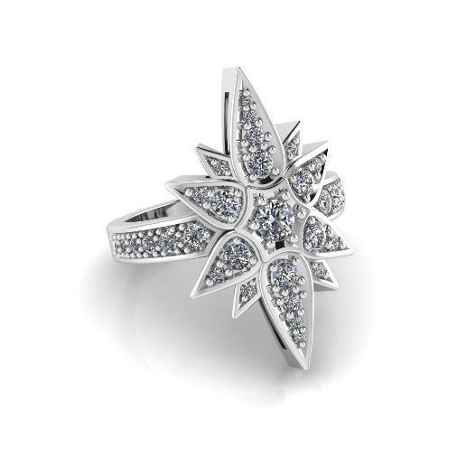 Ring shtern Model 4203 3D print model_1