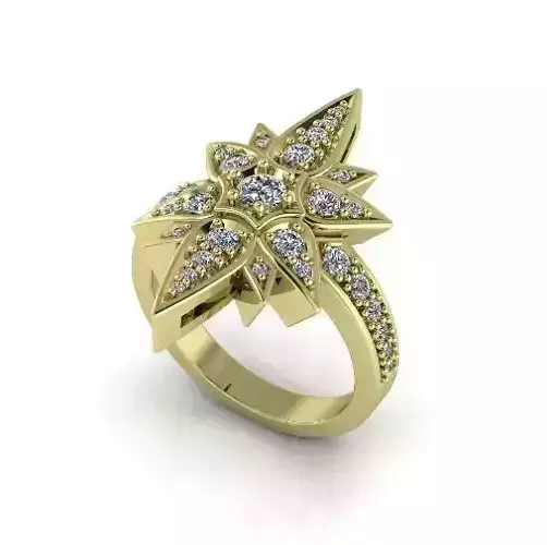 Ring shtern Model 4203