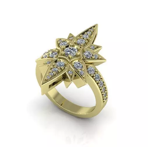 Ring shtern Model 4203 3D print model_0