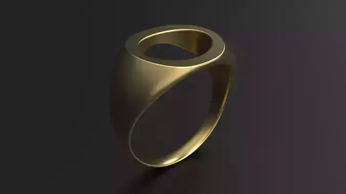 SANJ Ring 04 3D print model