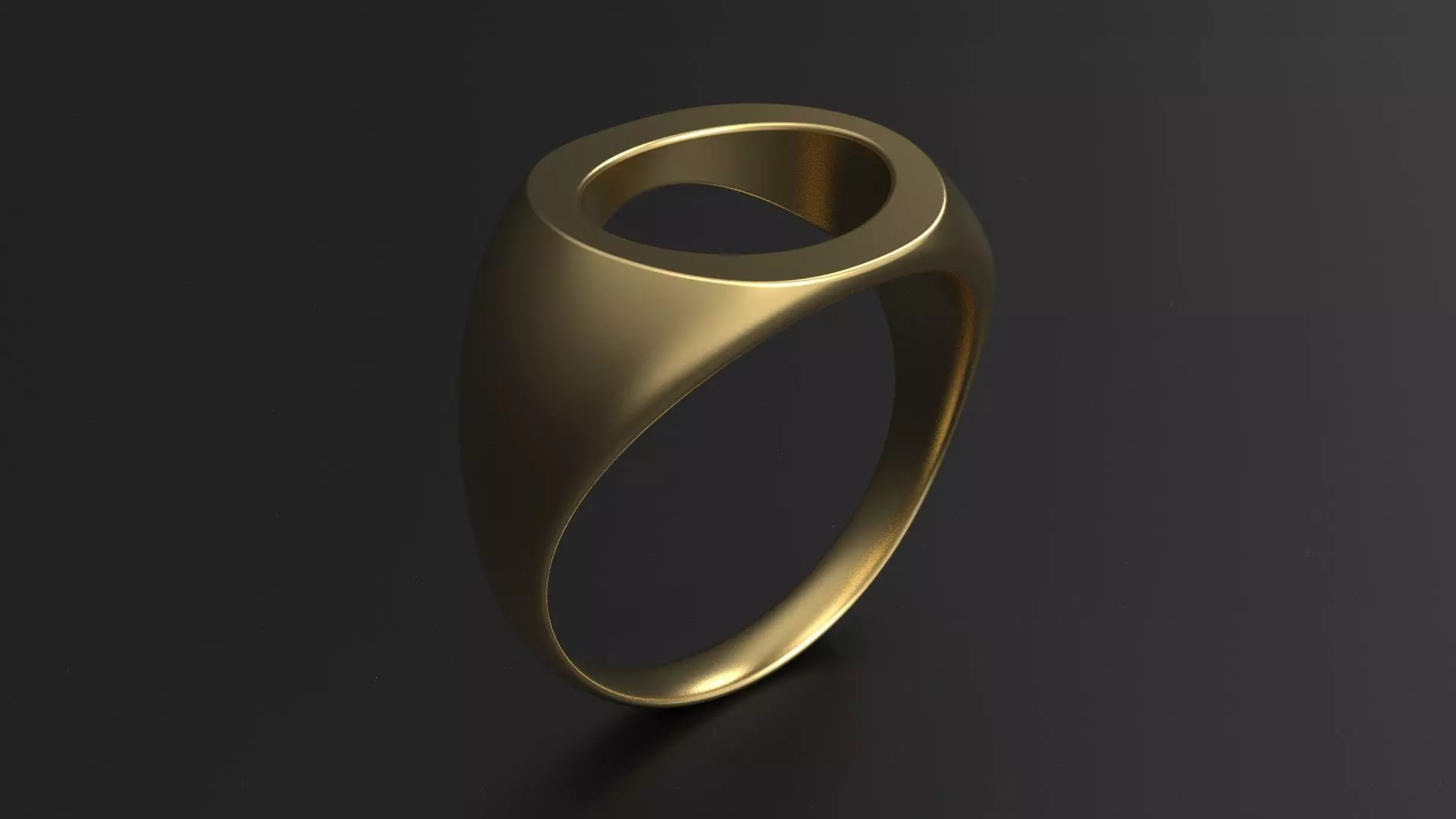 SANJ Ring 04 3D print model_0