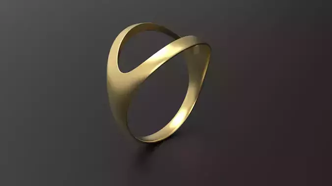 SANJ Ring 08 3D print model