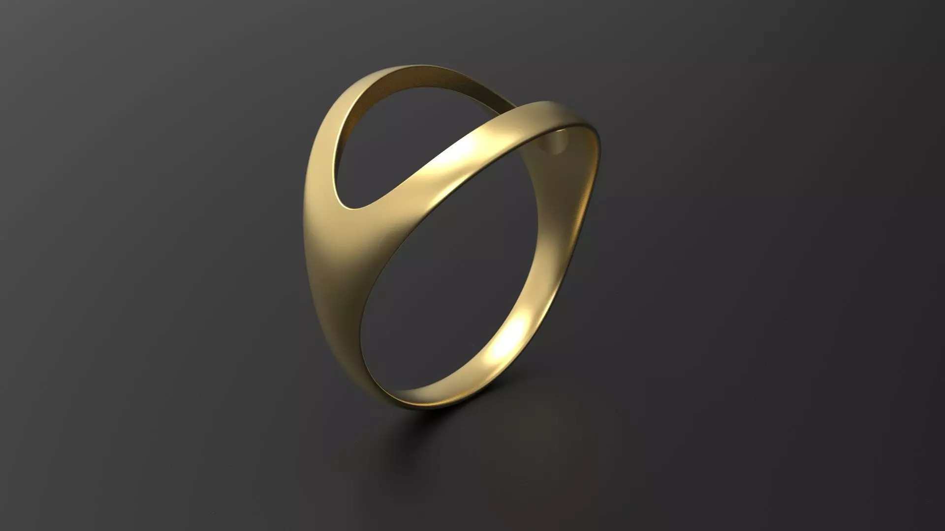 SANJ Ring 08 3D print model_0