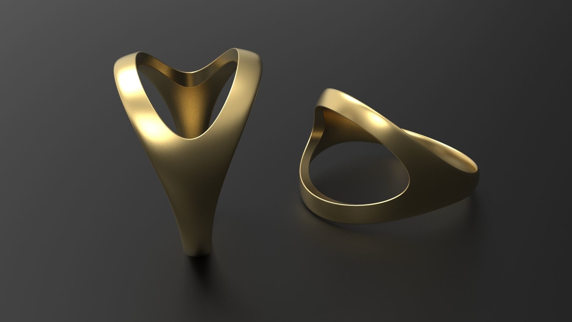 SANJ Ring 08 3D print model_2