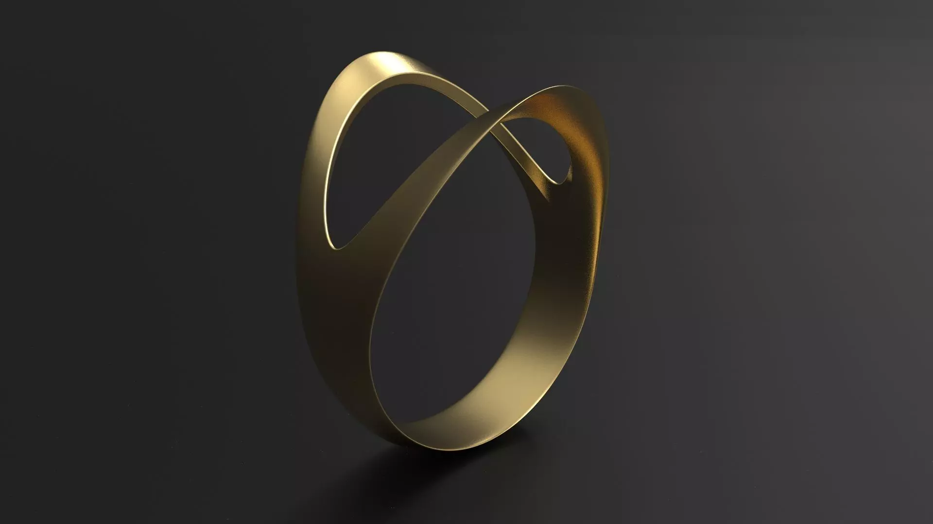 SANJ Ring 07 3D print model_0