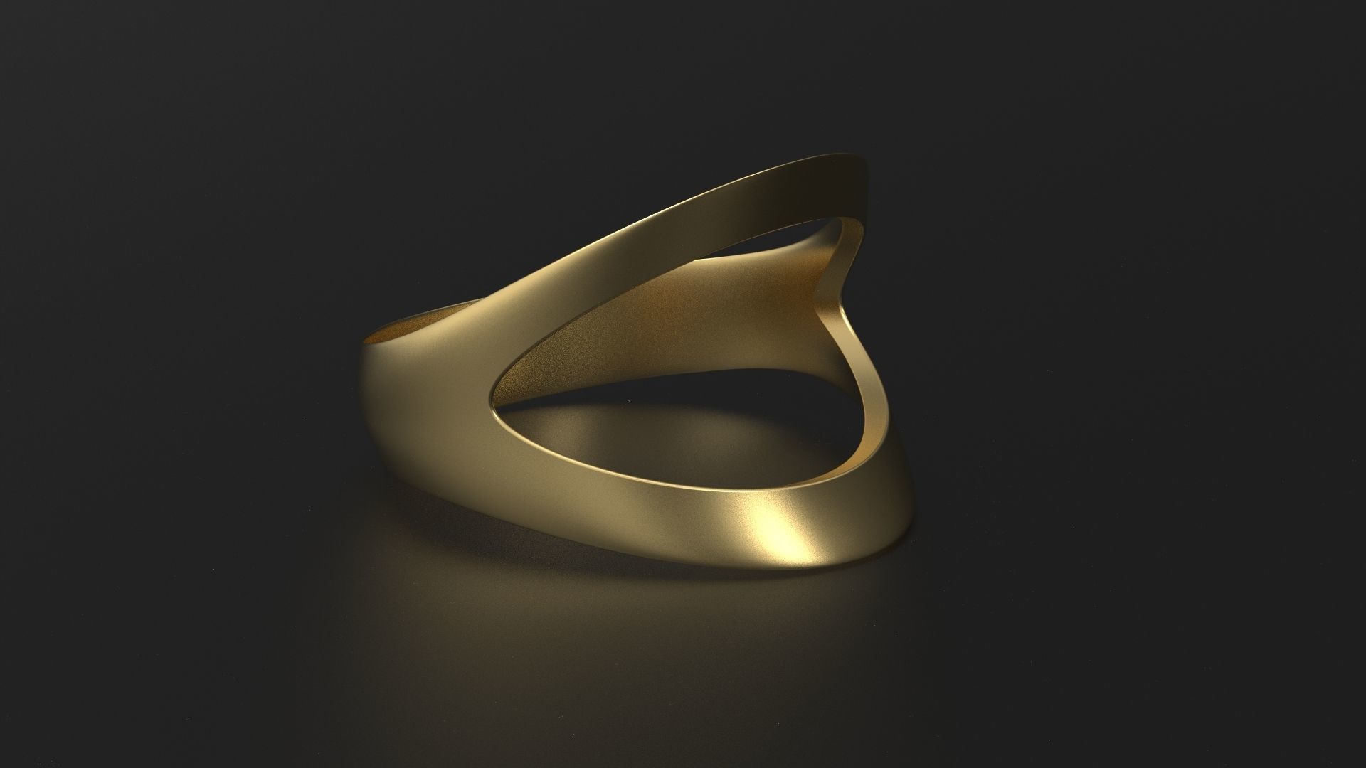 SANJ Ring 07 3D print model_3