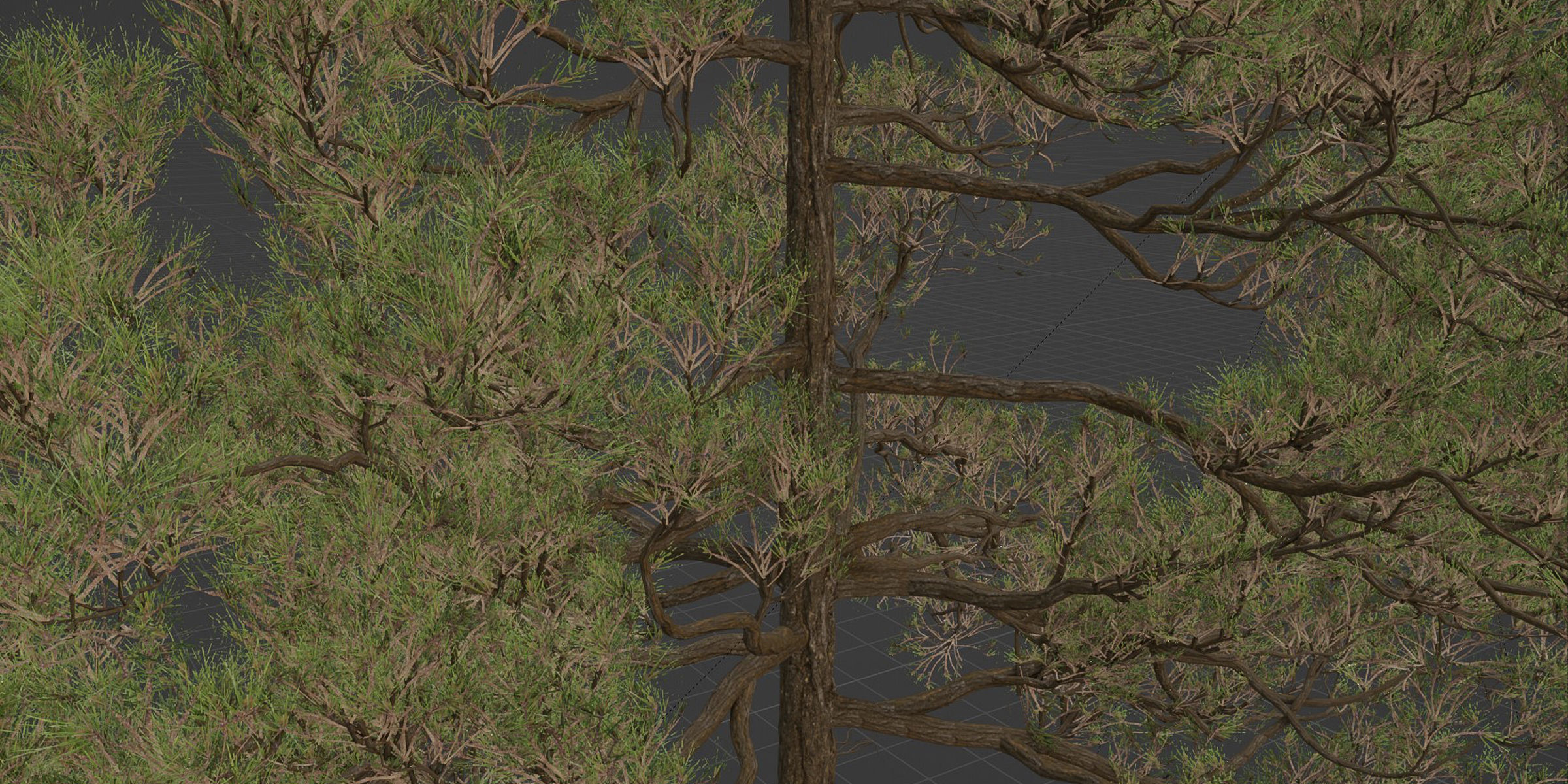 pine trees collection vol 39-Blender 3D model_7