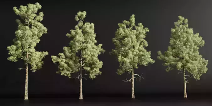 pine trees collection vol 39-Blender 3D model