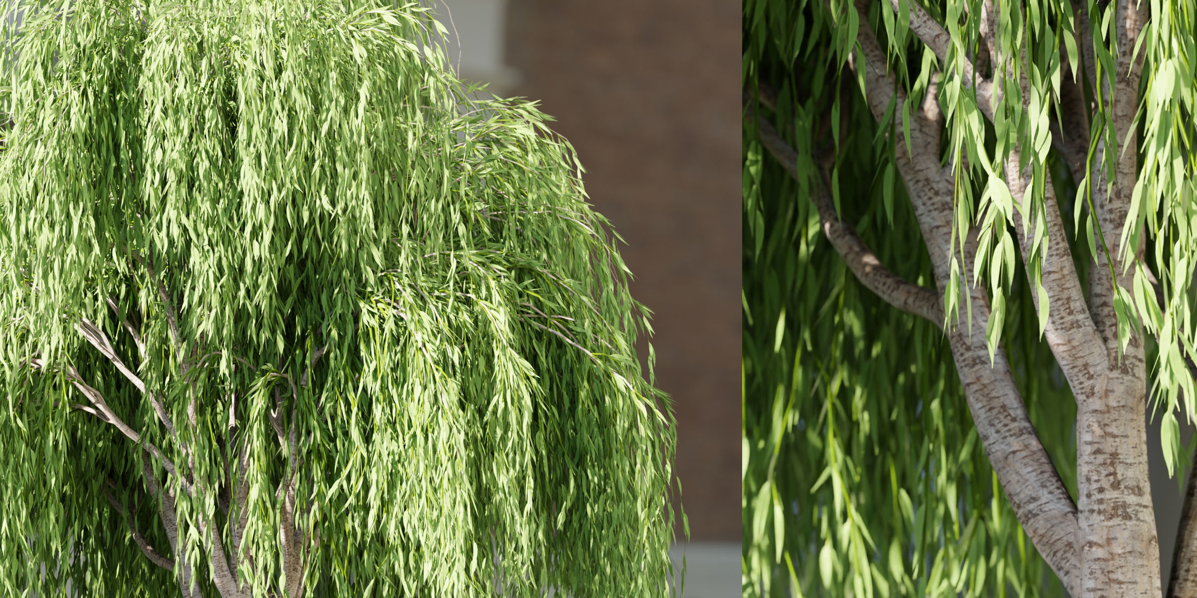 willow trees collection vol 40-Blender 3D model_4