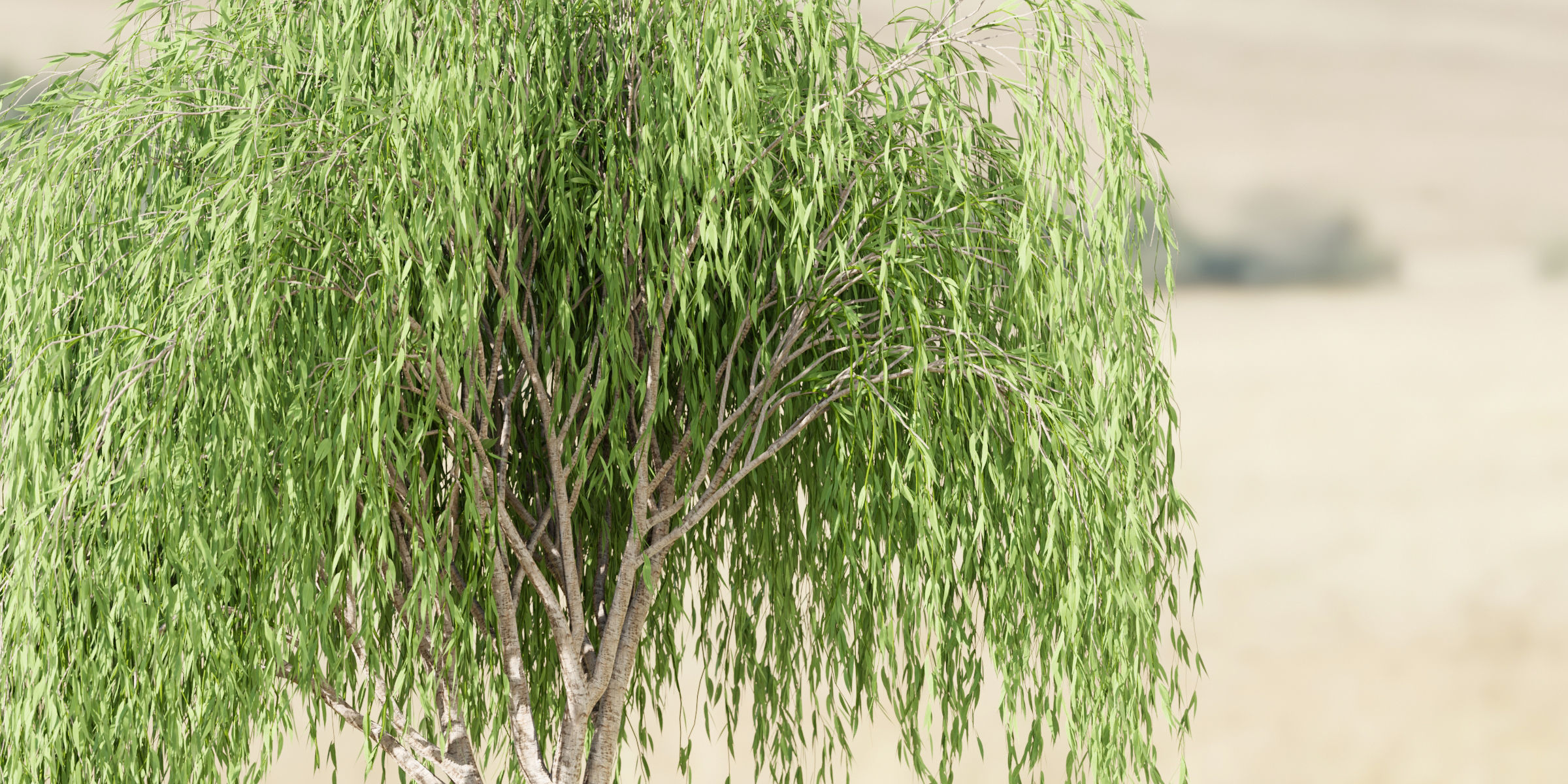 willow trees collection vol 40-Blender 3D model_3