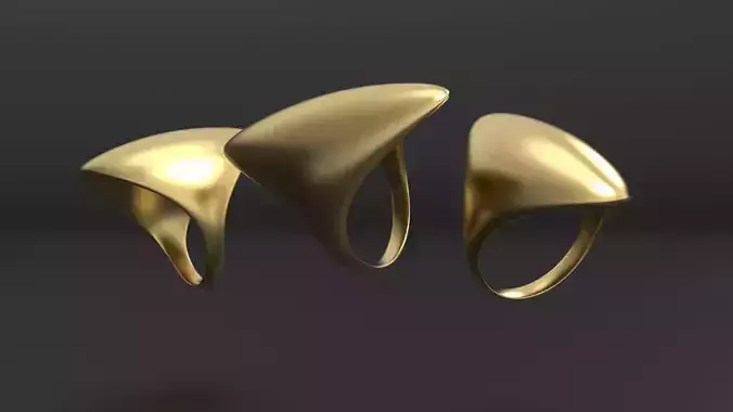 SANJ Ring 10 - 3 variations 3D print model