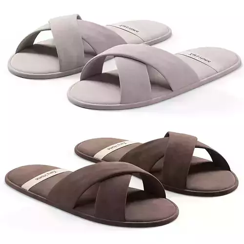 Slippers with open toe 3D model