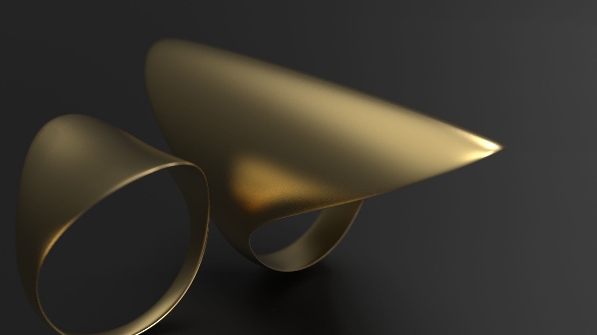 SANJ Ring 11 - 5 Variations 3D print model_6
