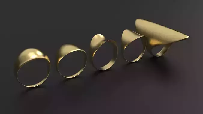 SANJ Ring 11 - 5 Variations 3D print model