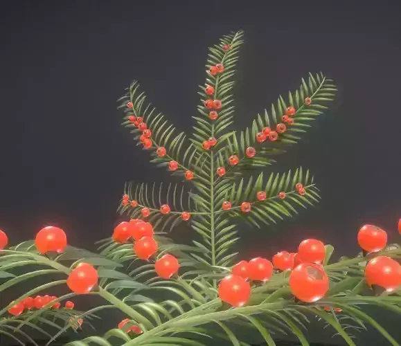 Yew branch Taxus Baccata 3D model