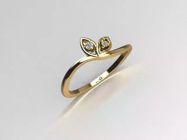 ring jewelry