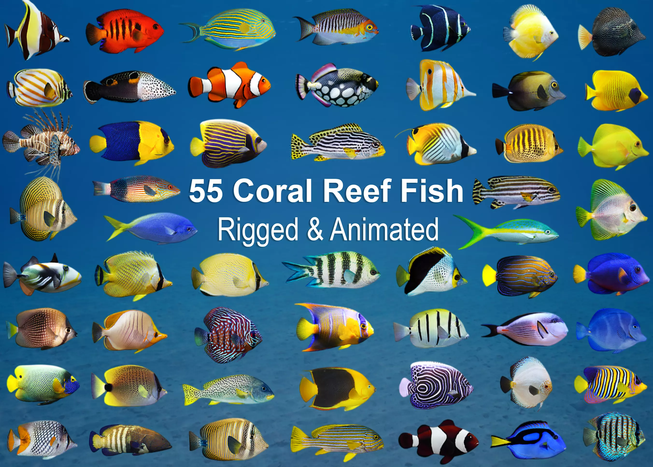 Coral Reef Fish Collection Animated - Game Ready pack 3 Low-poly 3D model_0